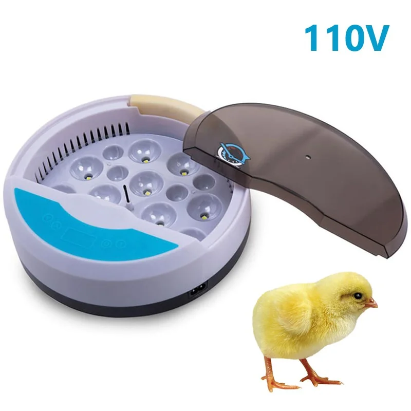 110V
