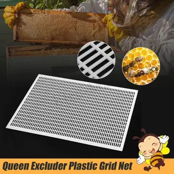 

1pcs For 10 Frame Beekeeping Beekeeper Bee Queen Excluder Trapping Grid Net Tool Kit Plastic Separated King Board Royal Board