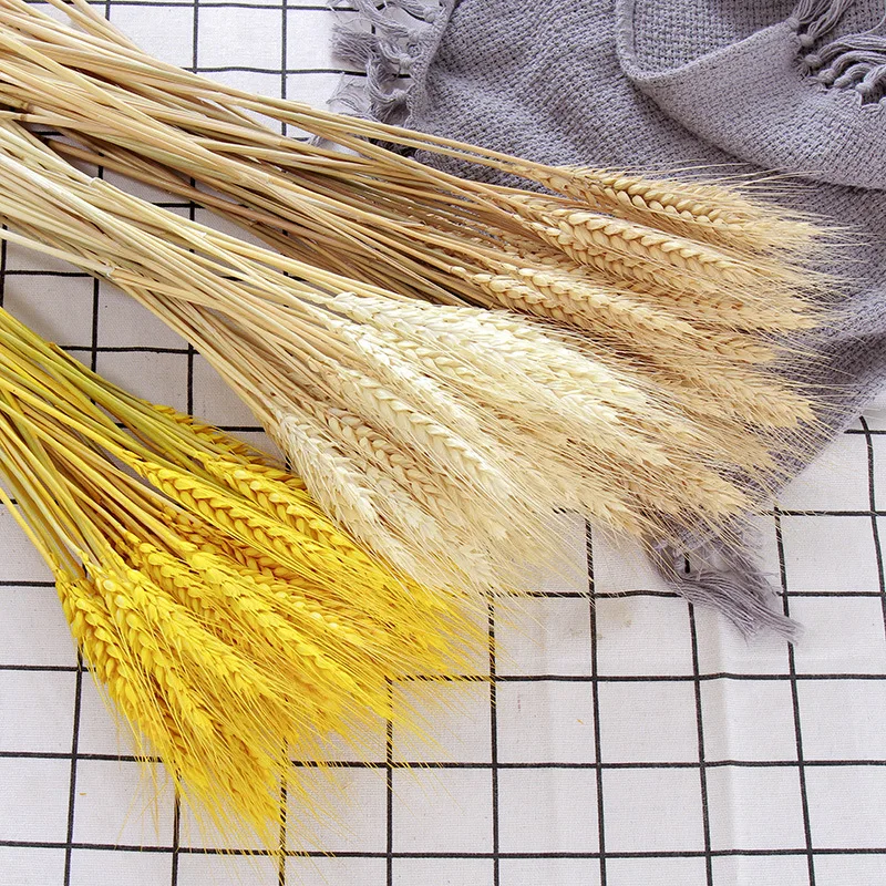 50Pcs Real Natural Dried Wheat Ear Wedding Flower Bouquet Table Decoration Handmade Dry Grain Ears Home Decor | Дом и сад