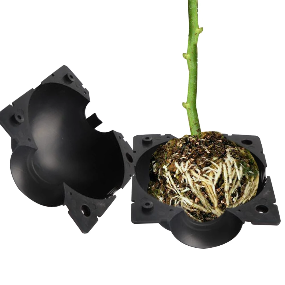 Damagefree Propagation Ball Plant Rooting Grafter Box 華麗
