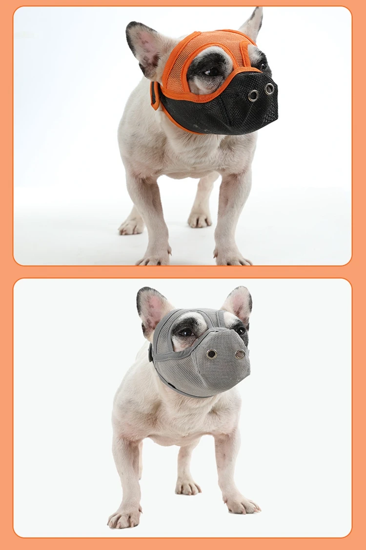 19 - 21302118036_20982621