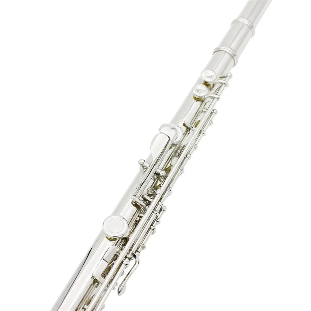 ZP484100-D-7-1