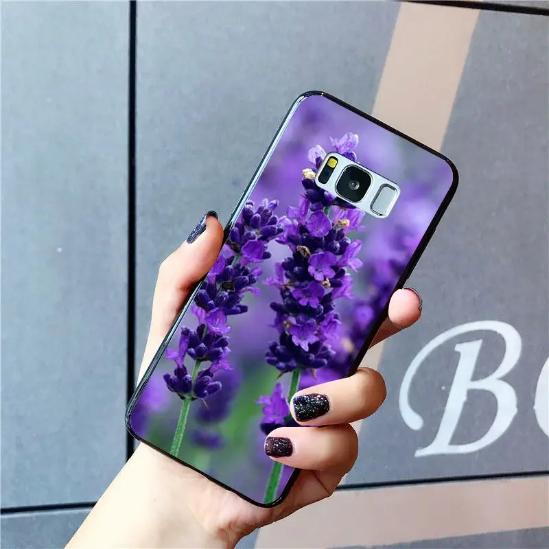 Simple lavender Purple flowers   