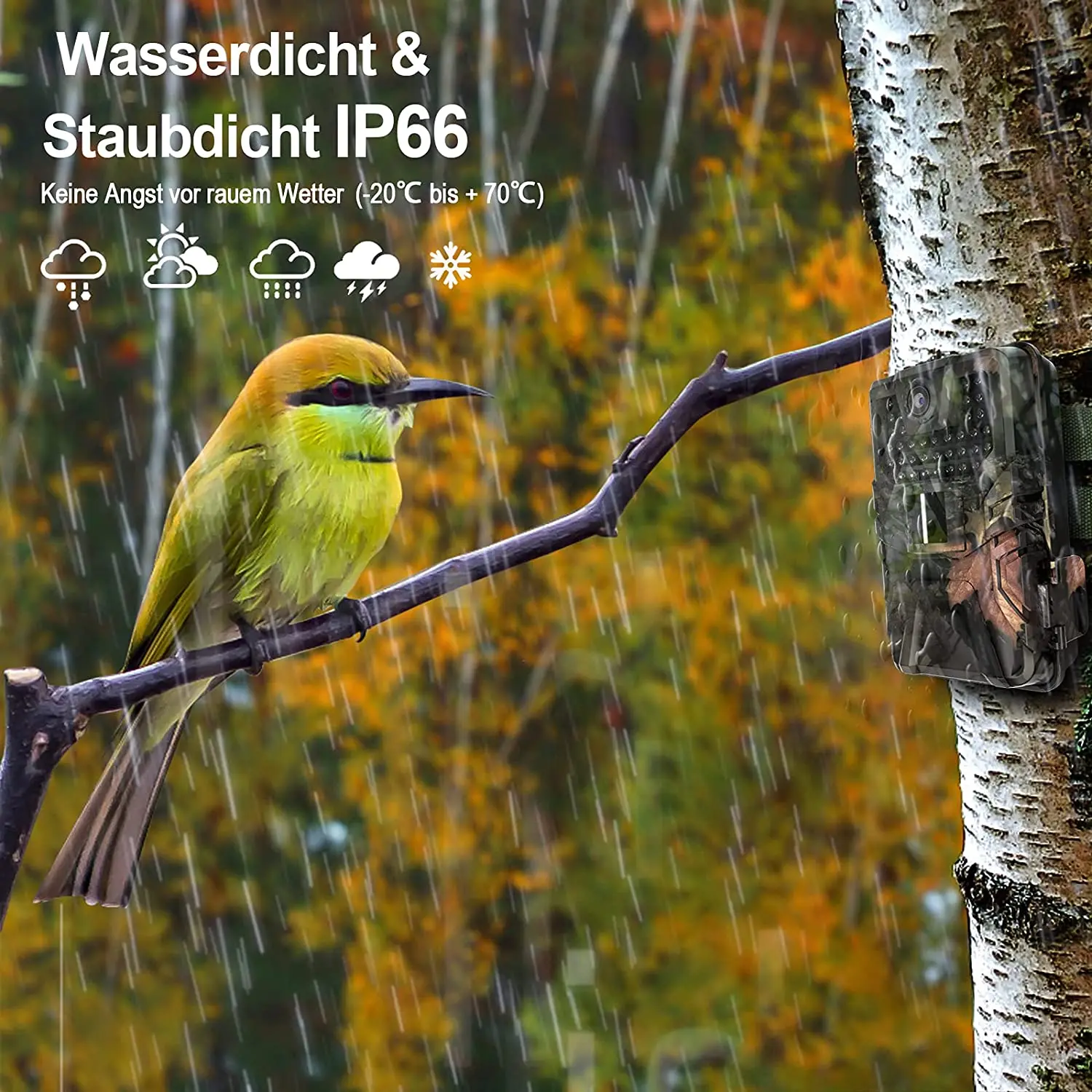 Slide image 21e2c7a52b0149f5bd82d907fce163f4