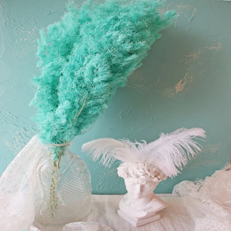 O1CN01r6aBDM1plhgpsXTiF_!!681845401