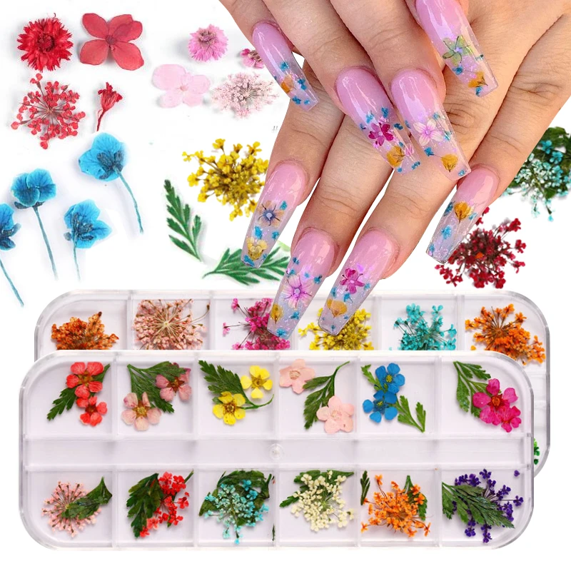 1ボックス3d自然乾燥させた花ネイルアートの装飾カラフルな花ひまわり葉デザイン爪の装飾マニキュア ラインストーン 装飾 Aliexpress