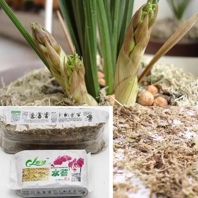 12L Sphagnum Moha Kerti Hidratáló Táplálkozási Szerves Műtrágya A Phalaenopsis Orchidea Spagnum - Image 6