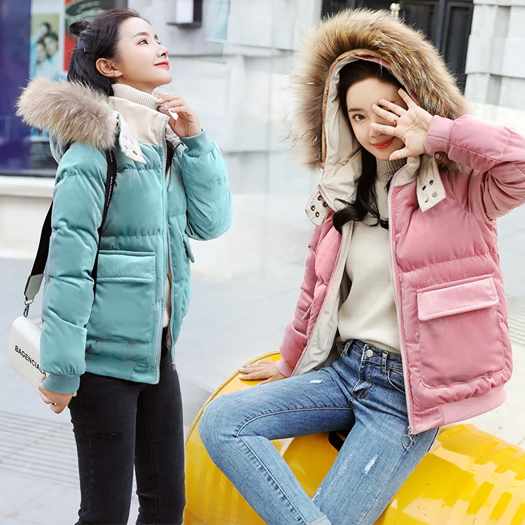 

Solid Color Long Sleeve Cotton-padded Clothes 2019 Winter Convention Casual Slim Fit Gold Velvet Short Cotton Coat Women's with