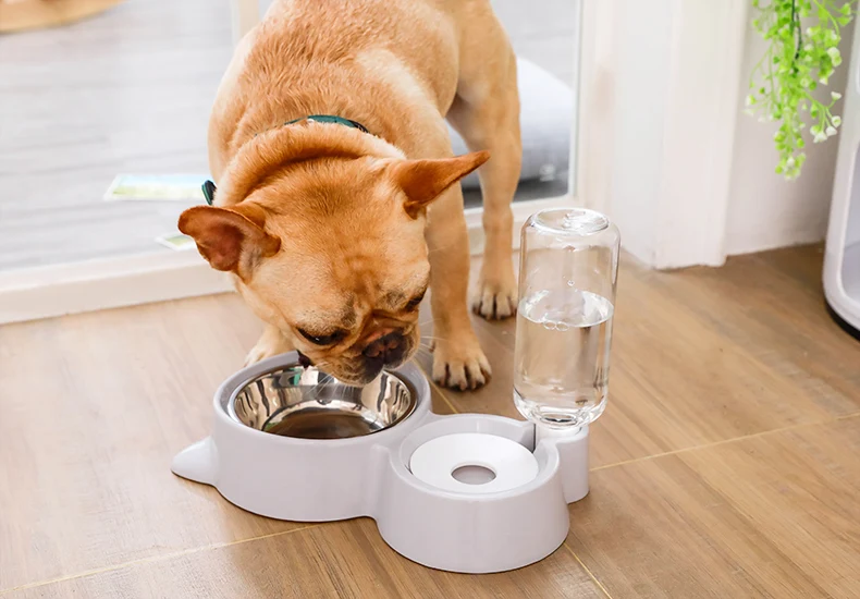 Автоматическая кормушка для питомца диспенсер для воды кошка для собачьего питья миска кормушка для собак блюдо для кошек Кормление полив поставки