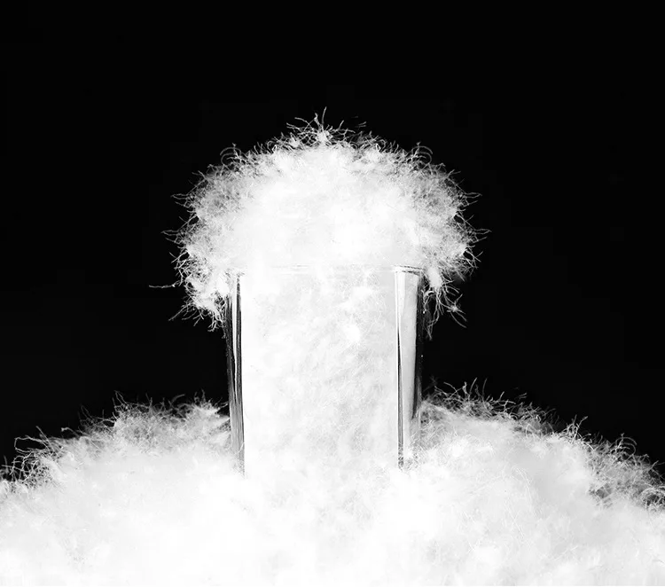 18876830693_1322651169