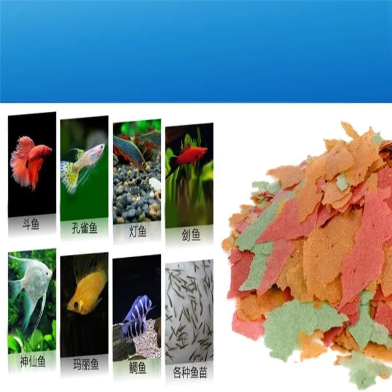 QQ图片20190909125327