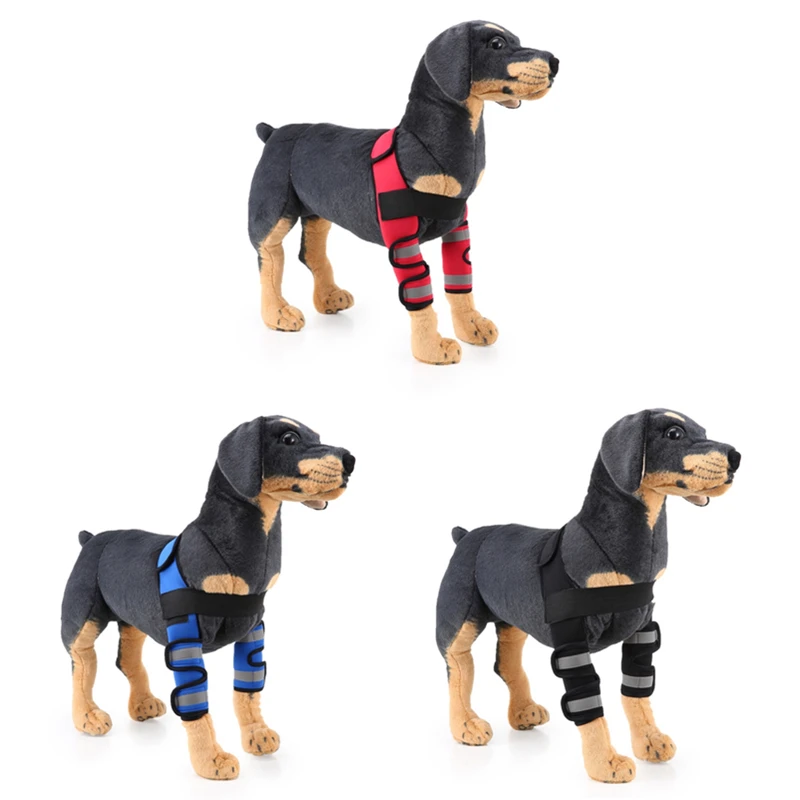 How Do You Wrap A Dogs Sprained Paw