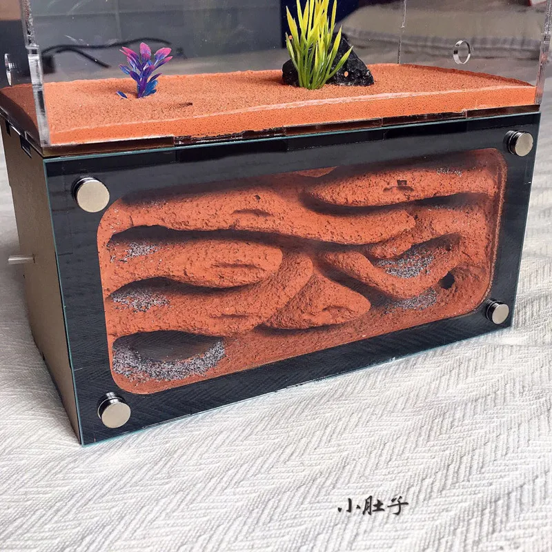 

Ant Empire With Water Tower Ant Nest Ant Workshop Ant Castle Ant Farm Ant Ranch