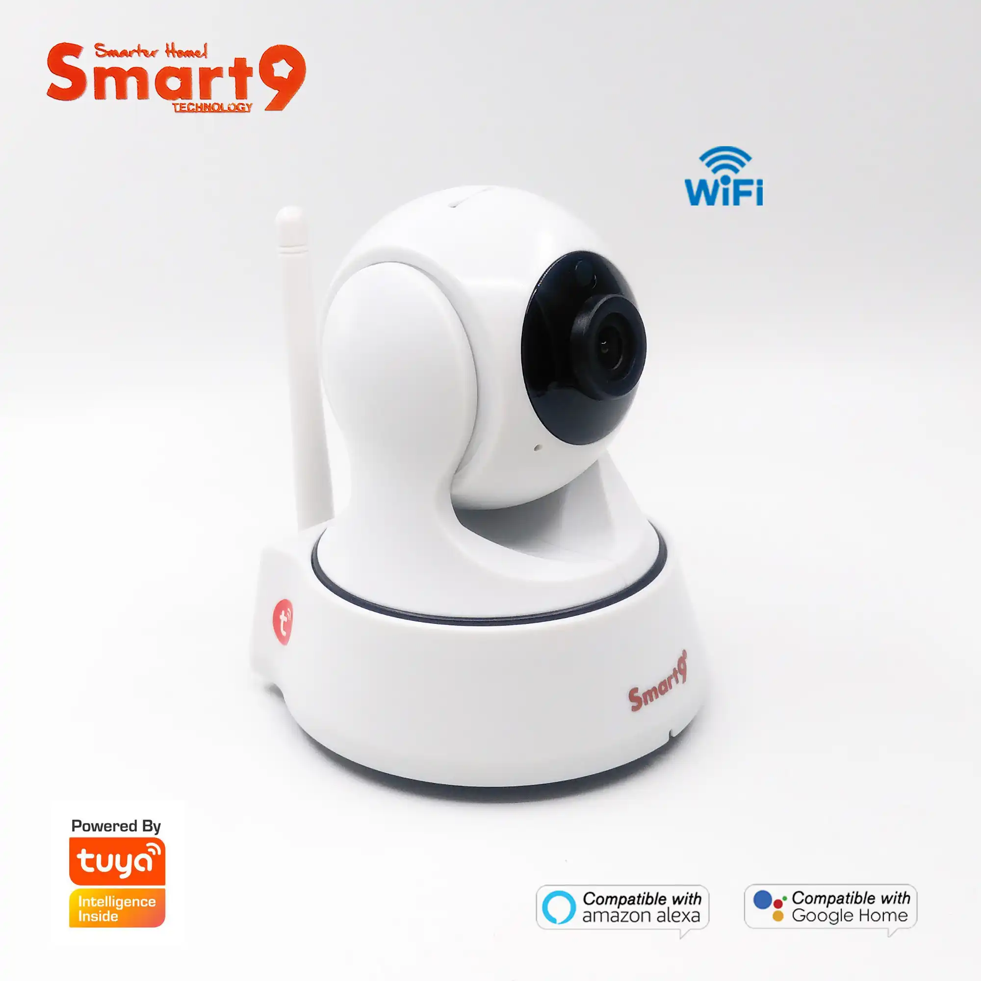 wifi cameras that work with google home