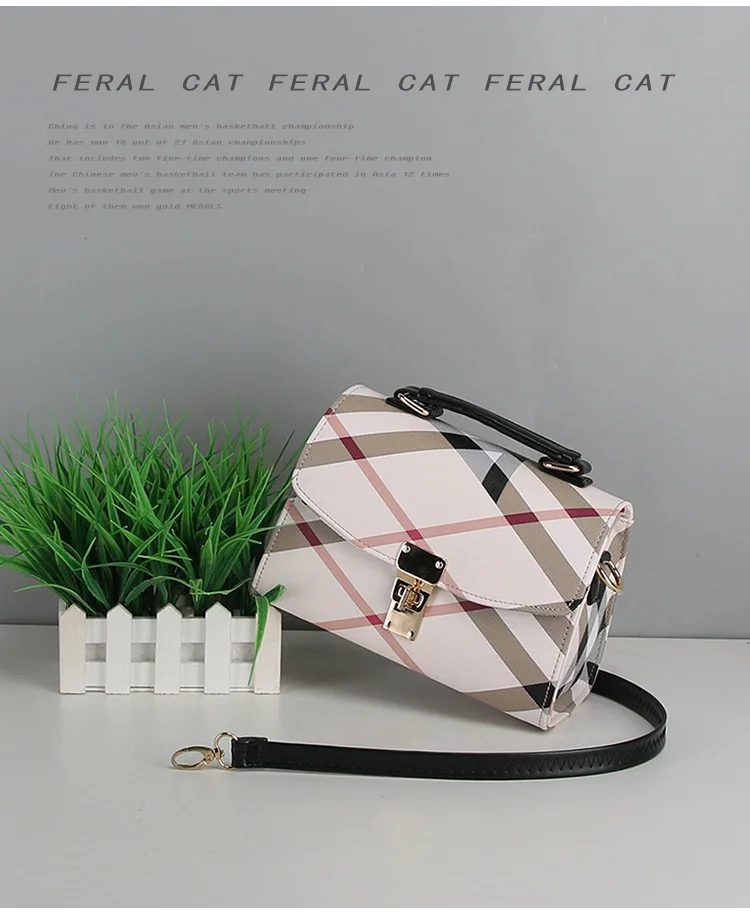 FERAL CAT 2017 Luxury Handbags Women Shoulder Bags Designer Ladies Hand Bags Leather Messenger Bag21