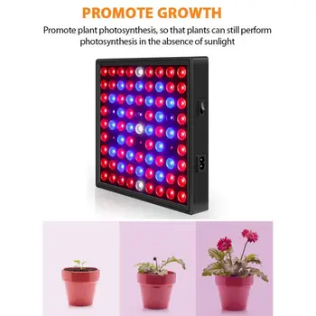 

Flower Seedling LED Grow Light Full Spectrum For Greenhouse Vegetable Seedling Plant Lighting IR UV Growing Phyto Lamp