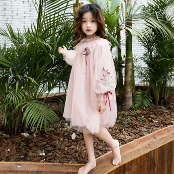 

Little Girls Long Sleeve Dresses 2020 Spring Autumn Mesh Embroidered Dress for Children Girls Princess Dress Teens Kids Clothes