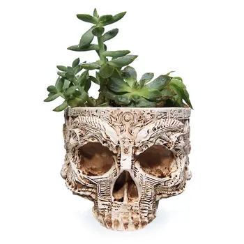 

Hand Carved Human Skull Flower Pot Vase Bowl Succulent Plant Planter Container Garden Home Halloween Decor GXMA