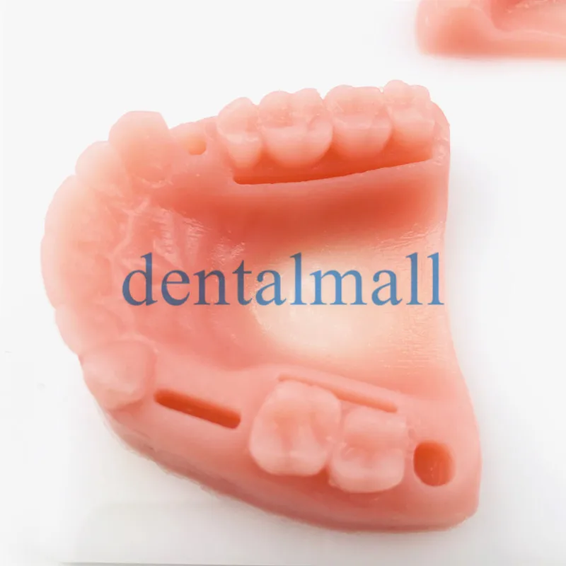 Зубные полости рта/десен шов учебный модуль медицинский силиконовый Пародонтит шов модель