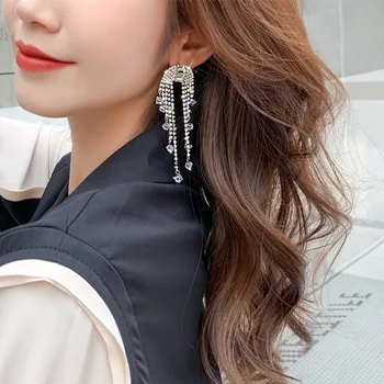 

925 Silver Exaggeration Crystal Tassel Earring Europe And America Elegant Long Online Celebrity Earrings Women's Normcore Style