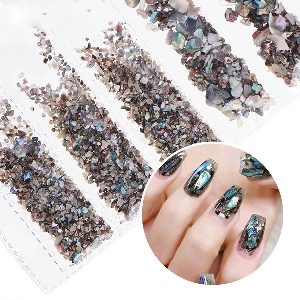 

6Pcs/Set DIY Pretty Shell Piece Nail Paillette Chip 3D Charm Nail Art Decorations Slice Beauty Nail Decals Manicure Decoration
