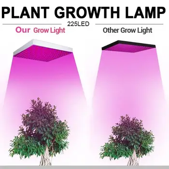 

Grow Light Panel High Brightness Energy Saving Eco-Friendly Led Grow Light Plants Growth Light Plant Lamp Full Spectrum Flower