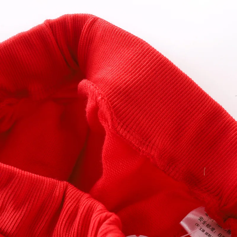 Демисезонные детские штаны с петельным ворсом, детские штаны с принтом машины