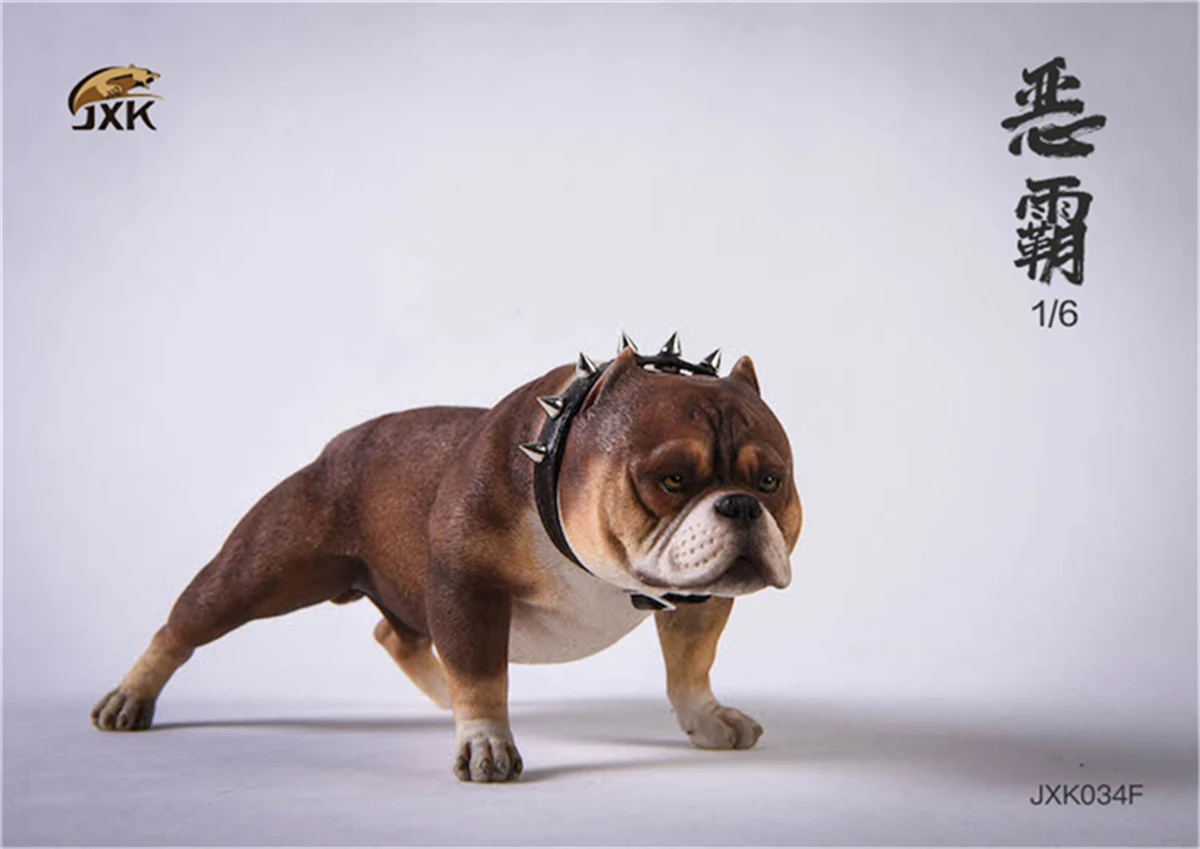 JXK 1/6 American Bully Pitbull Dog Pet Figure Animal Model Toys