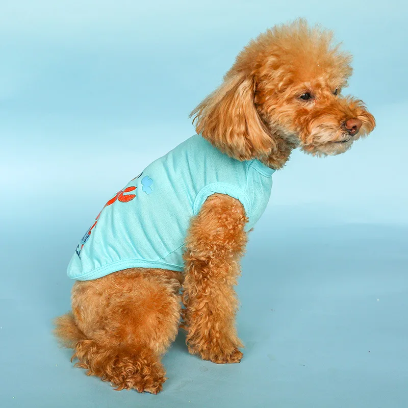 13722368381_1853267267