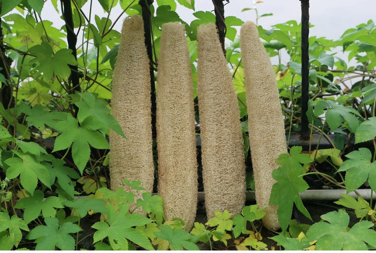 

Long Bath Body Shower Sponge Scrubber Natural Loofah Luffa Loofa Bathing Massage Pot Bowl Scrubber Spa bathroom accessories D3
