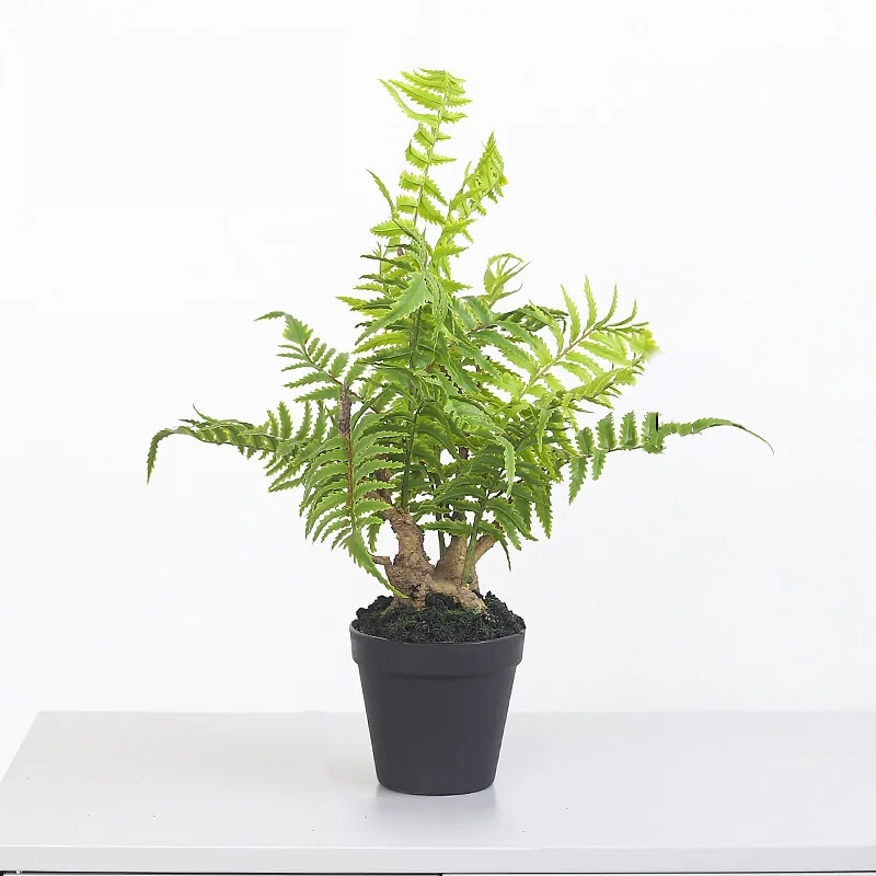 Суккулент Горшечное растение для домашнего сада Декор Искусственный Поддельный зеленый гостиная DIY