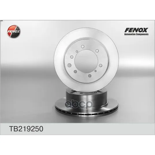 Диск Тормозной Задний Hyundai Terracan 01- Tb219250 FENOX арт. TB219250