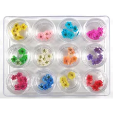 1 Набор для украшения ногтей маленький сушеный цветок аксессуары для самостоятельного маникюра для женщин леди CJ666