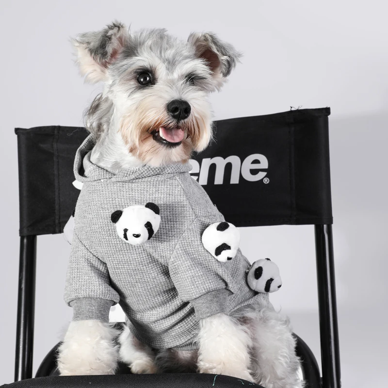 Vestiti per cani di piccola taglia autunno e inverno maglione per cani  carino Schnauzer barboncino vestiti per cani accessori per cani vestiti per  gatti accessori per gatti|Dog Sets| - AliExpress