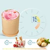 Mini Express Soft Serve Ice Cream Makers Automatic Sorbetiers Production Machine Home Portable Icecream Freezer Manufacturers 2