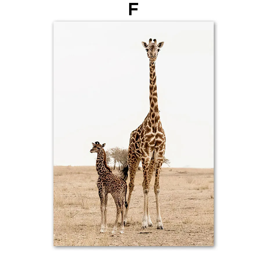 Grains-of-Sand-Arches-Grass-Reed-Palm-Cactus-Giraffe-Nordic-Poster-Wall-Art-Print-Canvas-Painting (8)