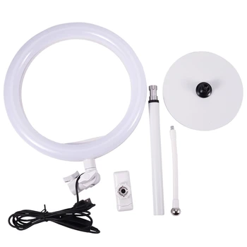 

10 Inch LED Ring Light 5V 8W 3800-6800K Photography Dimmable Selfie Ring Light Video Live Makeup Ring Lamp+Phone Holder USB Plug