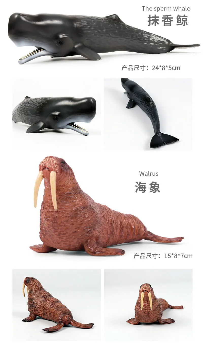 Имитационная твердая Океаническая и морская жизнь, модель животного, Акула, Кит, осьминог, дельфин, фигурки, Детская образовательная коллекция, подарок