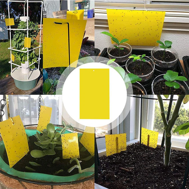 13680332108_1002151063