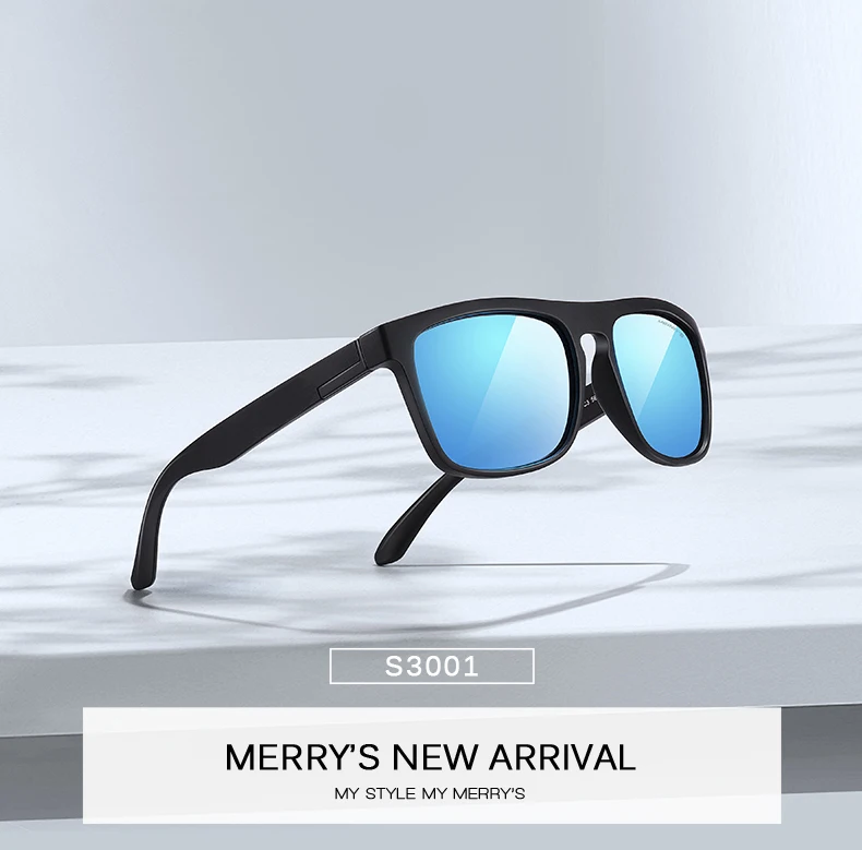 S3001 details_01