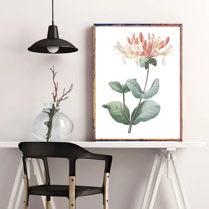 Bloemenprint Kamperfoelie Botanische Bloemen Poster Italiaanse 