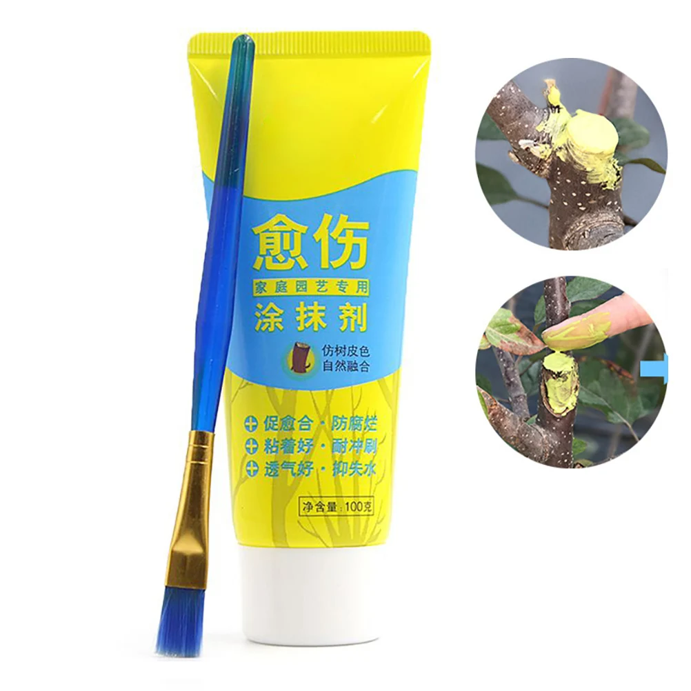 100g Tree Wound Bonsai Cut Paste Smear Means Pruning Compound Sealer with Brush