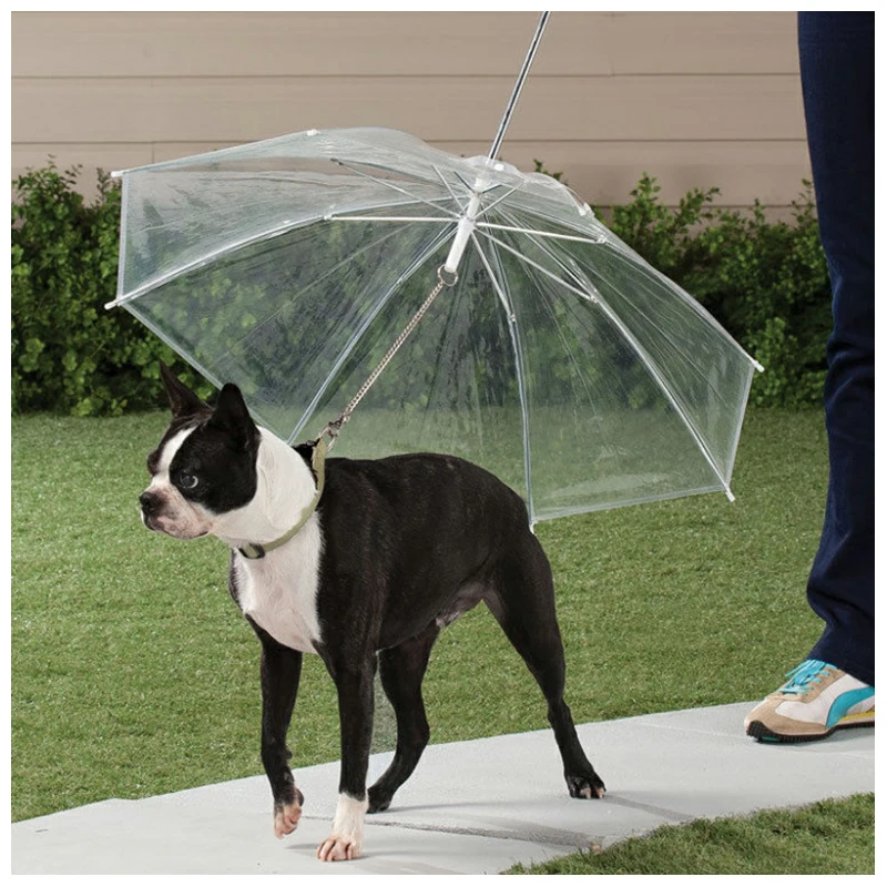 

Dog Walking Waterproof Clear Cover Portable Pet Umbrella With Leash For Puppy Pet Dog Raincoat Rain Sleet Snow Pet Product W282