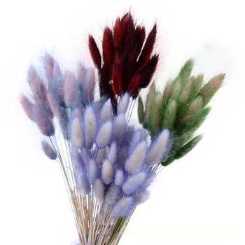 

30Pcs/lot Natural Gradient Ovatus Lagurus Dried Flowers Bouquet Wedding Home Easter Decorations Rabbit Tail Grass Real Flower