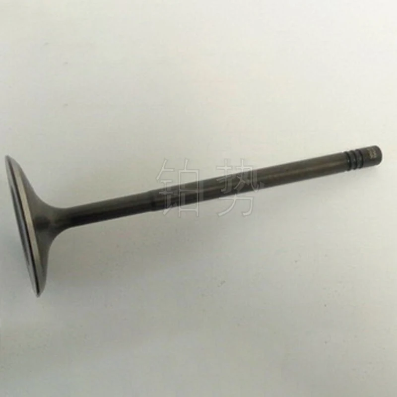 Car Intake valve 2011 Por sch ePa nam era Cay enn eMa can 4.8L engine intake and exhaust valve