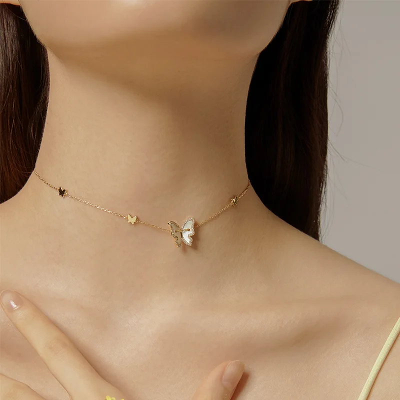 21110822218_1430318493