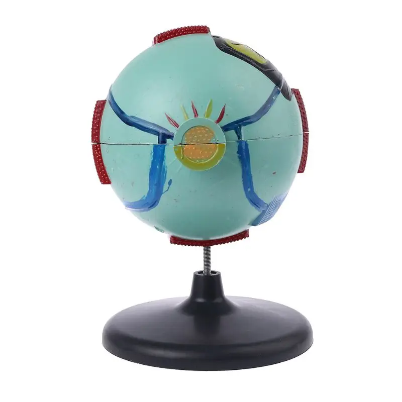 6x Removable Human Eye Eyeball Model Eyeball Internal Structure Learn Human Anatomical Model Lab Teaching Education