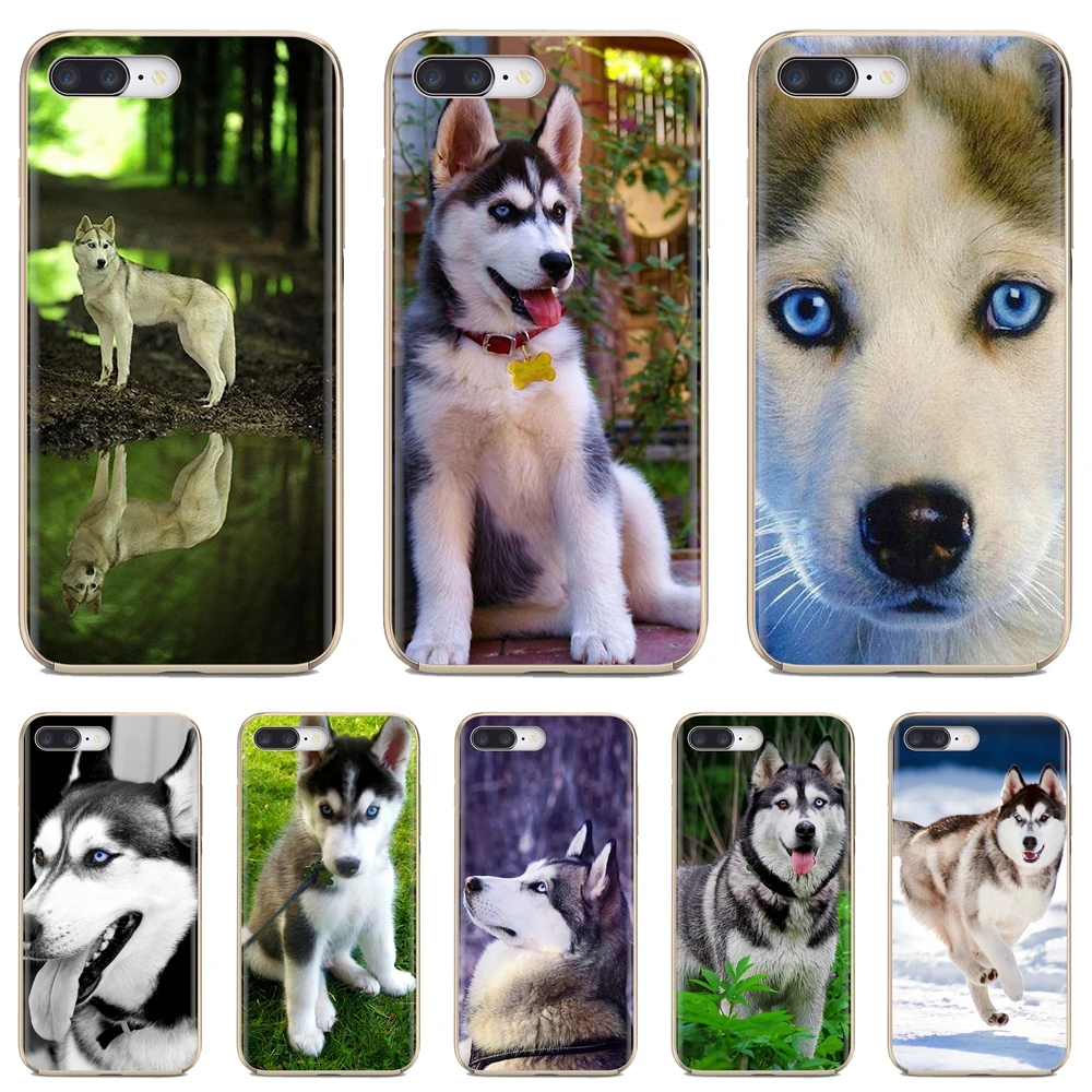 Siberian Husky Dog puppies Pattern Phone Soft Cover For Huawei G7 G8 P7 P8 P9 P10 P20 P30 Lite Mini Pro P Smart 2017 2018 2019 | Мобильные