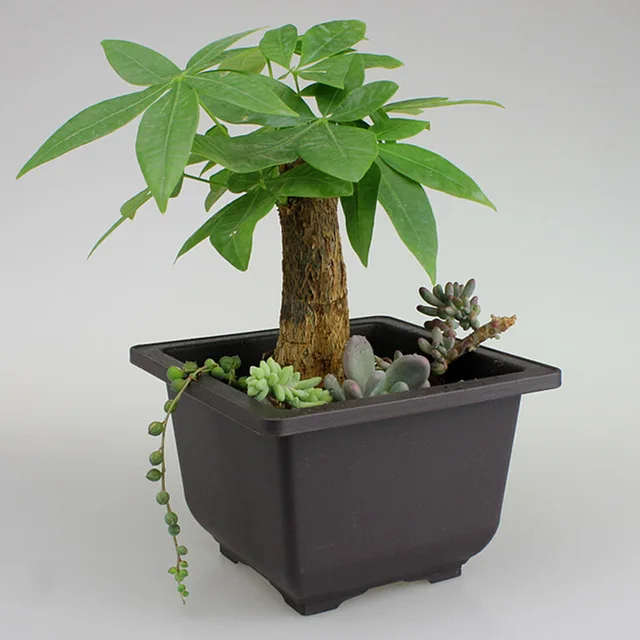 Műanyag Virág Edény Retro Stílusú Szimulációs Lila Homok Edények Bonsai Fa Növény Zamatos Otthoni Kert Pjop - Image 3