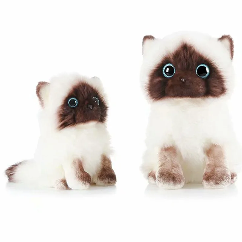 

Small Cute Like Real Cat Plush Toys Ragdoll Stuffed Doll Lifelike Animal Toy For Children Home Decor Baby Gift